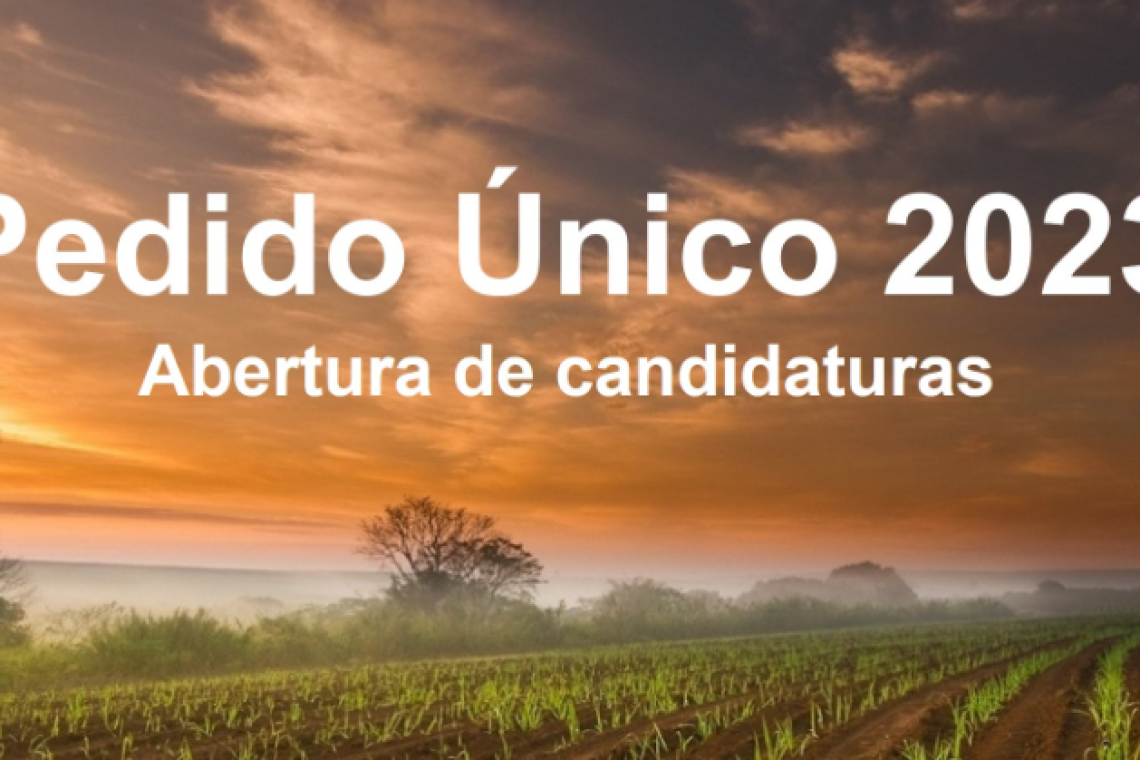 Plano Estratégico da Política Agrícola Comum PEPAC